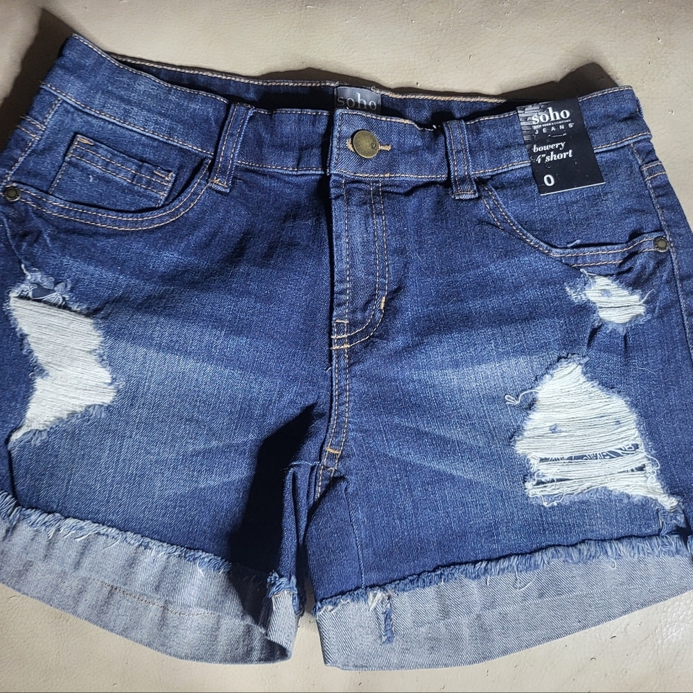 New With Tags! New York & Company Distressed Blue Jean Shorts